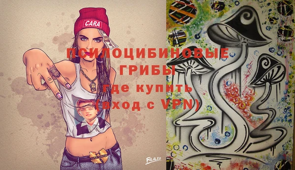 спайс Козельск