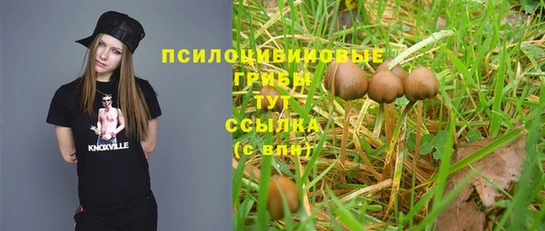 экстази Козловка